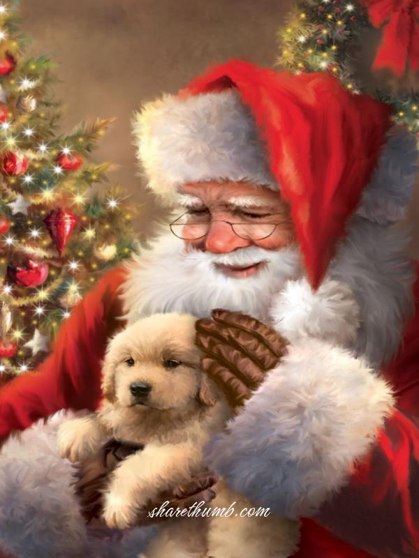 Lovely pupet in the hands of santa