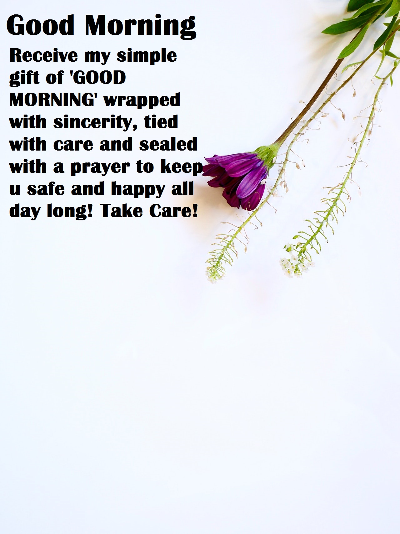 purple-flower-with-nice-morning-sms
