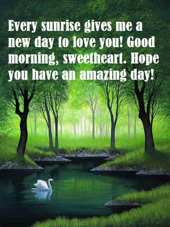 cute nature image with good morning love messages