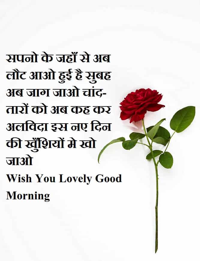 lovely-good-morning-message-for-girlfriends-in-hindi