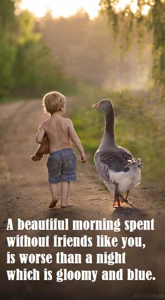 boy-and-duck-walking-in-the-good-morning