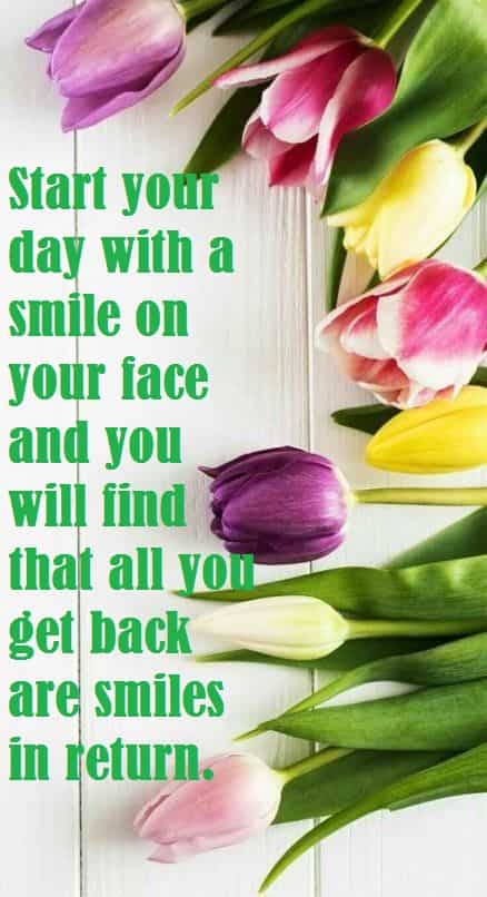 tulips-flower-and-morning-quotes-for-friends-forever