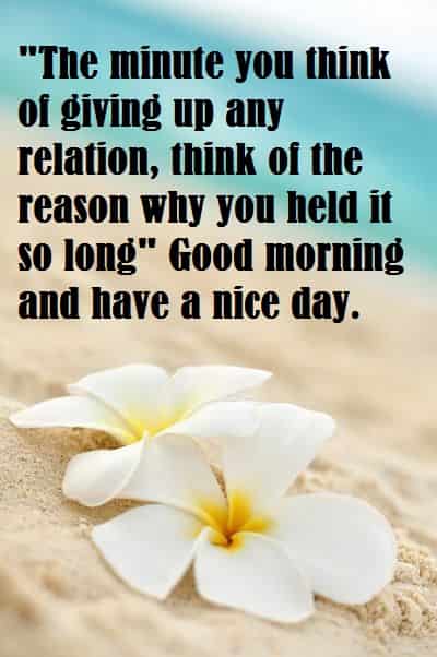 white-flower-corner-in-the-sea-with-morning-quotes-for-friends