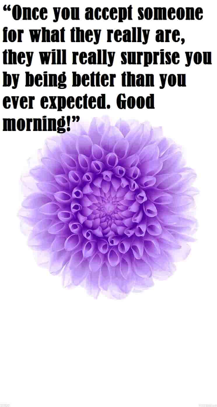 nice blue flower and nice quotes of morning