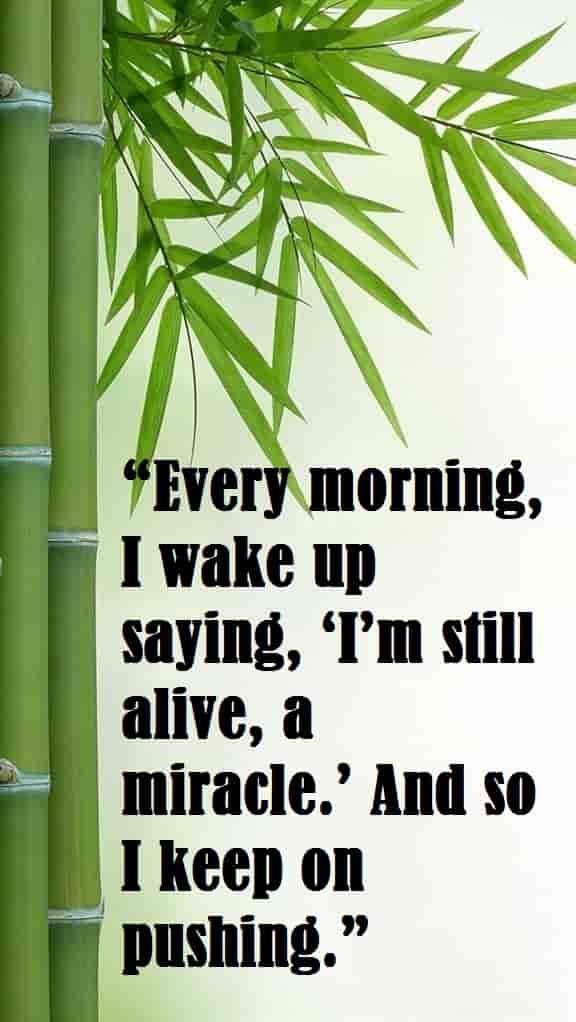 gree tree with nice and lovely morning quotes
