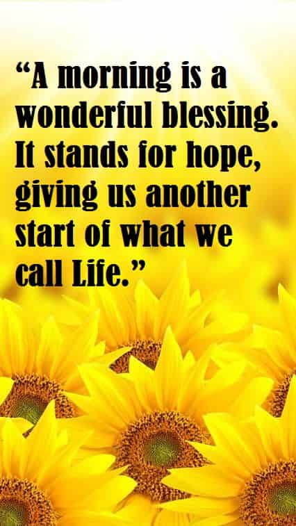 good morning quotes of life for friends with sun flower farm in the morning