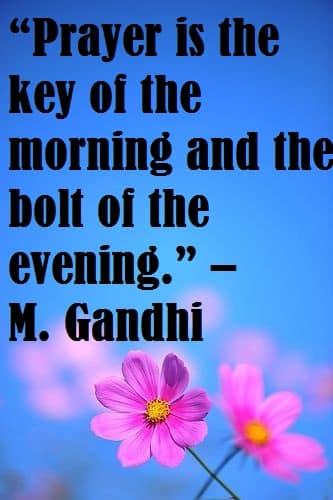 nice flower images with mahatma gandhi quotes