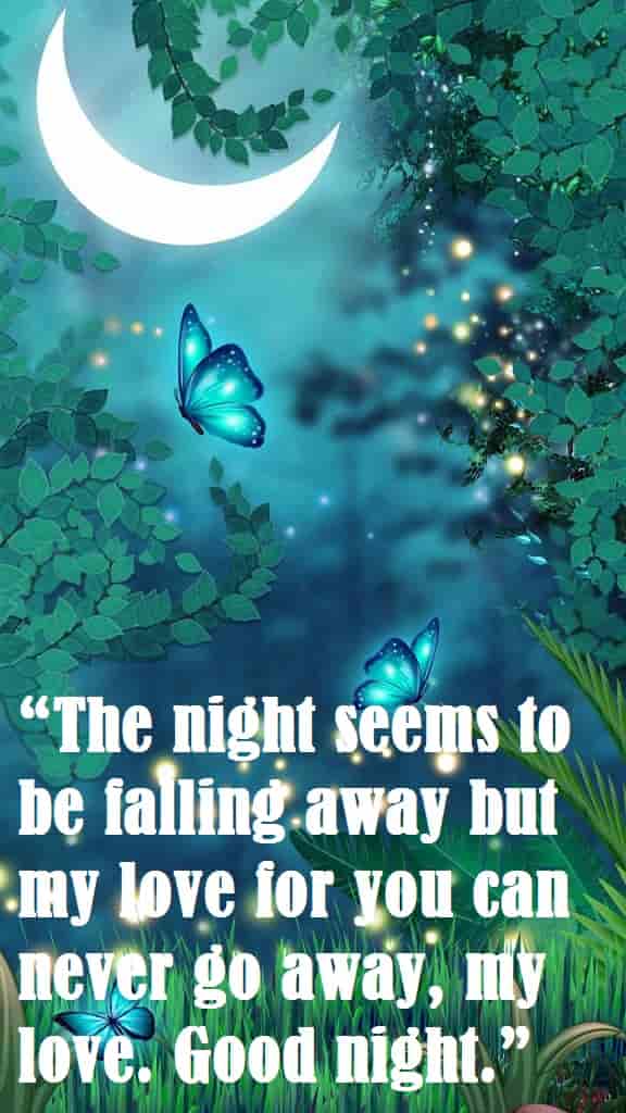 Moon Light Messages with butterfly