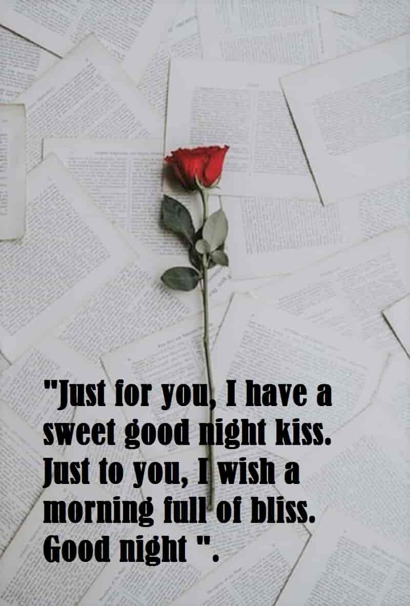 red-rose-with-lovely-good-night-quotes