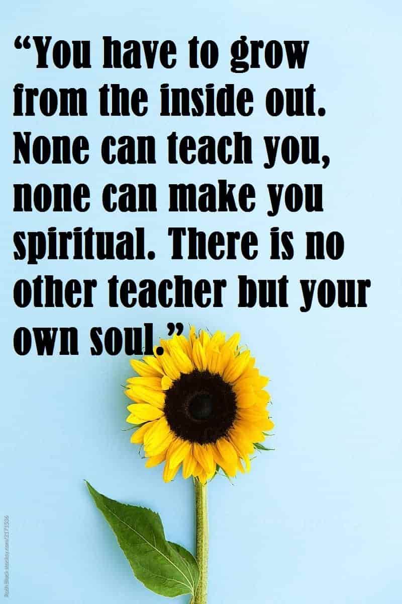 best life quotes with sun flower pic