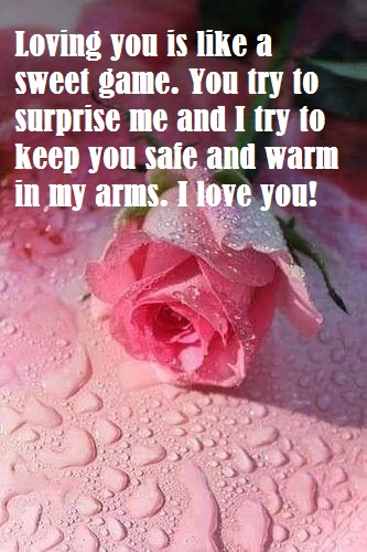 pink rose pic with love messages for wife