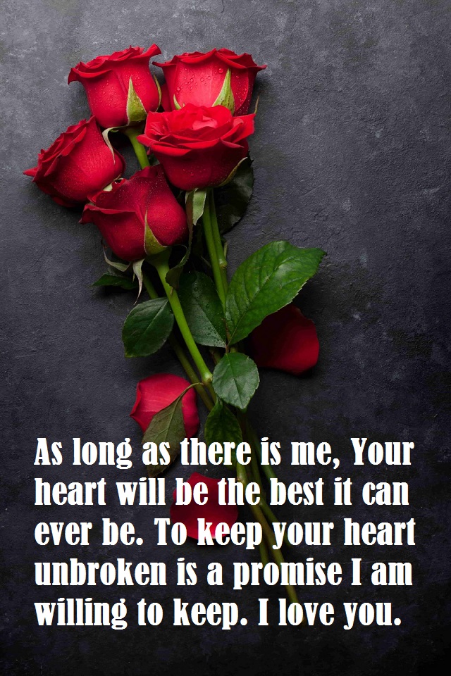 lovel msg for wife with red rose img