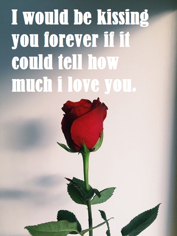 love quotes for darling