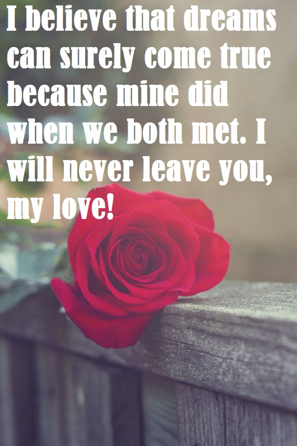 beautiful red rose picture with love quotes for hime